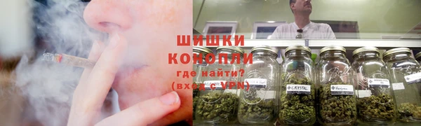 ГАЛЛЮЦИНОГЕННЫЕ ГРИБЫ Алексин