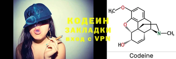 ГАЛЛЮЦИНОГЕННЫЕ ГРИБЫ Алексин