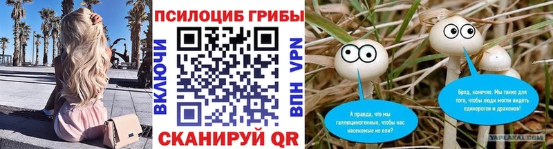 Купить  Бугуруслан  Галлюциногенные грибы Psilocybine cubensis 